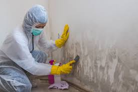 Mold Remediation for Vacation Homes in Bayshore, OR